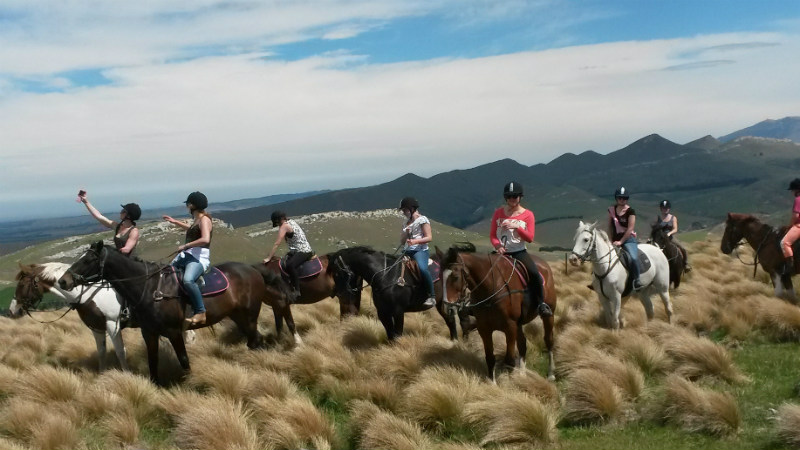 Weka Pass Horse Treks is nestled amongst beautiful farmland less than an hour from Christchurch city. They provide top-notch tutors and guides, to give you a fun, safe trekking environment for you, family and friends.
